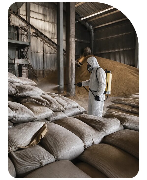 Дезинсекция зернового склада в Добрянке по цене от 15153 р. | Сенат-Дбр